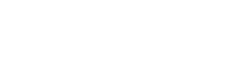 VIRTAGON